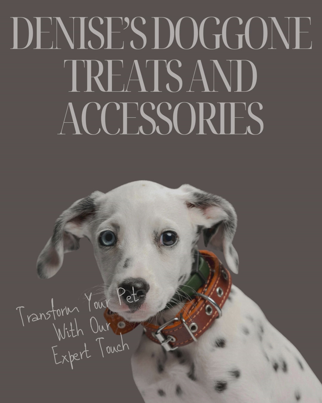 Organic Dog Treats – All-Natural, Healthy Snacks for Dogs